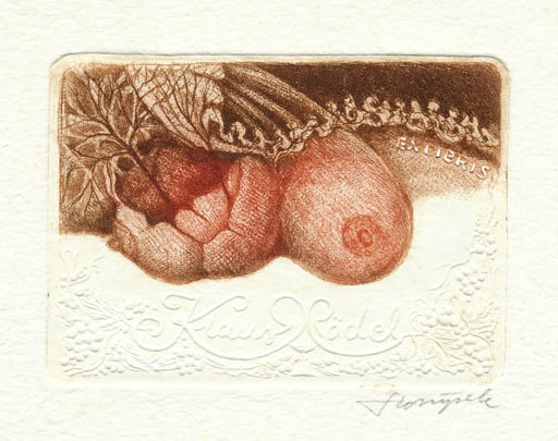 Exlibris by Kazimierz Szoltysek from Poland for Klaus Rödel - Abstract 