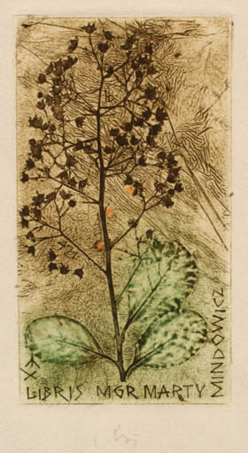 Exlibris by Bohdan Rutkowiak from Poland for Mormarrty Mindowicz - Flower 