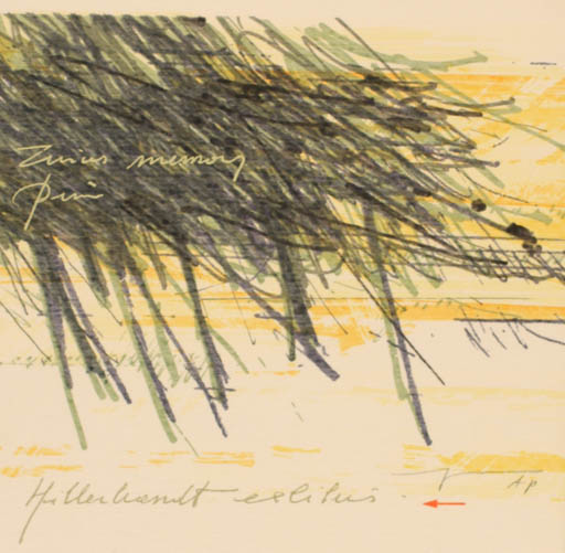 Exlibris by Martin R. Baeyens from Belgium for Dr. Norbert Hillerbrandt - Abstract 