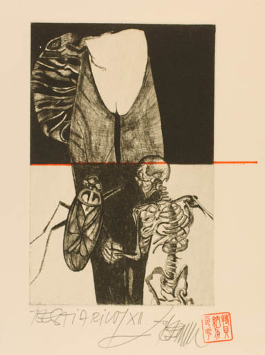 Exlibris by Leo Bednarik from Slovak Republic for ? ? - Insect Woman Surrealism 