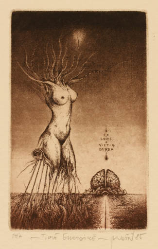 Exlibris by Albin Brunowski from Slovak Republic for Augustinas Virgilijus Burba - Woman Surrealism 