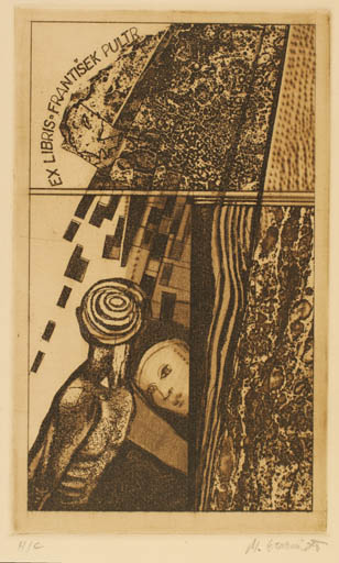Exlibris by Milan Erazim from Czechoslovakia for Frantisek Pultr - Abstract 