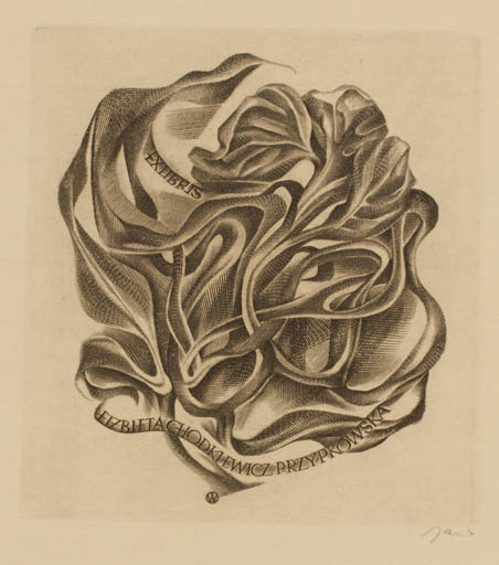 Exlibris by Wojciech Jakubowski from Poland for Elizbieta Chodklewicz Przypkowska - Abstract Flora 