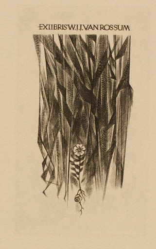 Exlibris by Wojciech Jakubowski from Poland for W. J.J. Van Rossum - Flower 