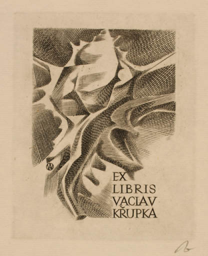 Exlibris by Wojciech Jakubowski from Poland for Vaclav Krupka - Abstract 