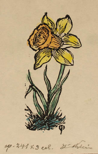 Exlibris by Edmund Peter from Denmark for ? ? - Flower 