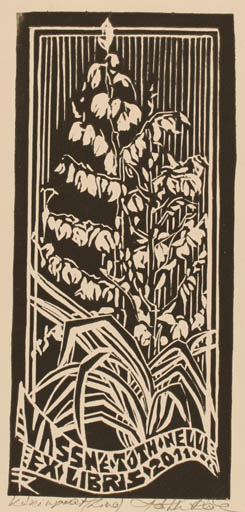 Exlibris by Rozsa Toth from Hungary for Kornèlia Vasnè Tòth - Flower 