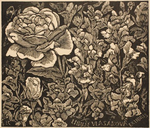 Exlibris by Ladislav Vlodek from Czech Republic for Libuse Vasakova - Flower Flora 