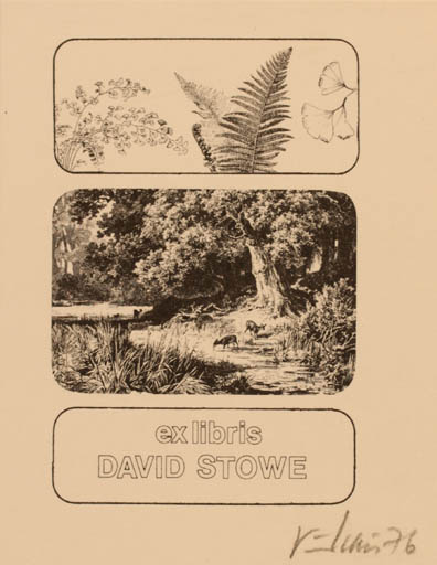 Exlibris by Vytautas O. Virkau from USA for David Stowe - Scenery/Landscape Forest 