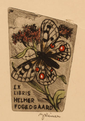 Exlibris by Josef Weiser from Czech Republic for Helmer Fogedgaard - Butterfly 