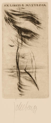 Exlibris by Jaroslav Cheben from Czech Republic for Grzegorz Matuszak - Abstract Scenery/Landscape 