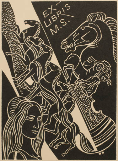 Exlibris by Dusan Janousek from Czech Republic for ? M. S. - Abstract Fauna Horse Woman Music Portrait 