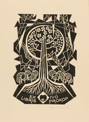 Exlibris by Dusan Janousek from Czech Republic for Dr. Ivo Prokop - Flora Tree 