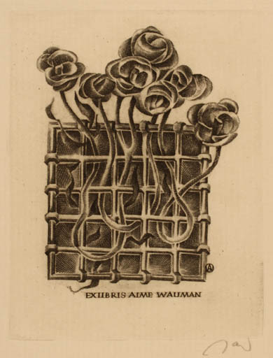 Exlibris by Wojciech Jakubowski from Poland for Aime Wauman - Flower Flora 