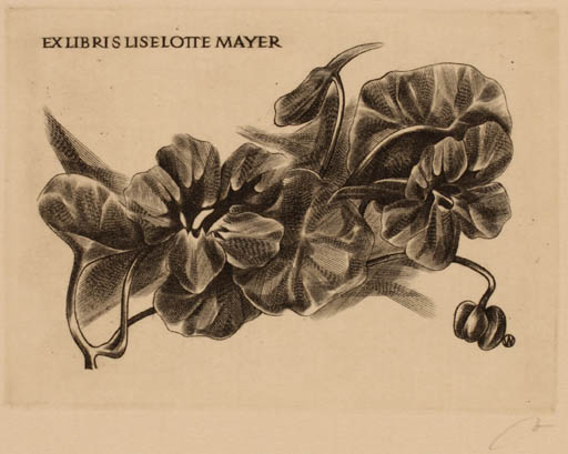 Exlibris by Wojciech Jakubowski from Poland for Liselotte Mayer - Flower 