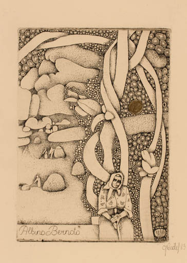 Exlibris by Grazina Didelyte from Lithuania for Albino Berinoto - Woman 