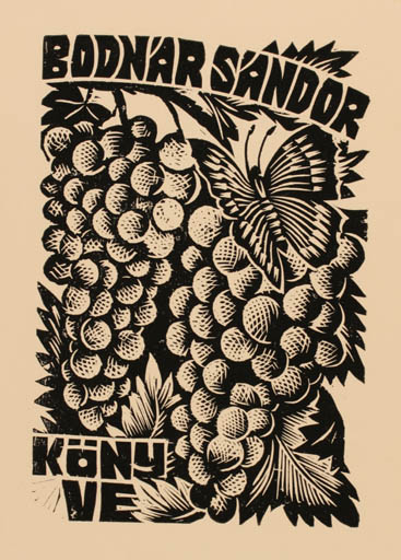 Exlibris by Kosa Balint from Romania for Sandor Bodnar - Butterfly Wine 