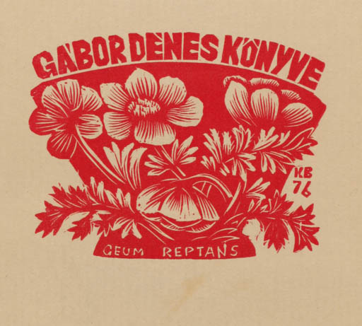 Exlibris by Kosa Balint from Romania for Denes Gabor - Flower 
