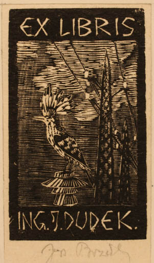 Exlibris by ? Unbekannt from Czech Republic for Josef Dudek - Bird 