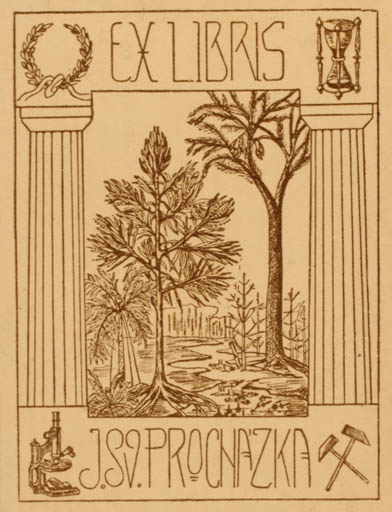 Exlibris by ? Unbekannt from Unknown for Dr. Jan Sv. Prochazka - Forest 
