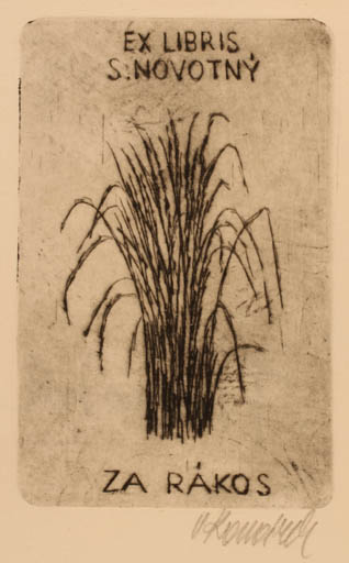 Exlibris by ? Unbekannt from Unknown for S. Novotny - Flora 